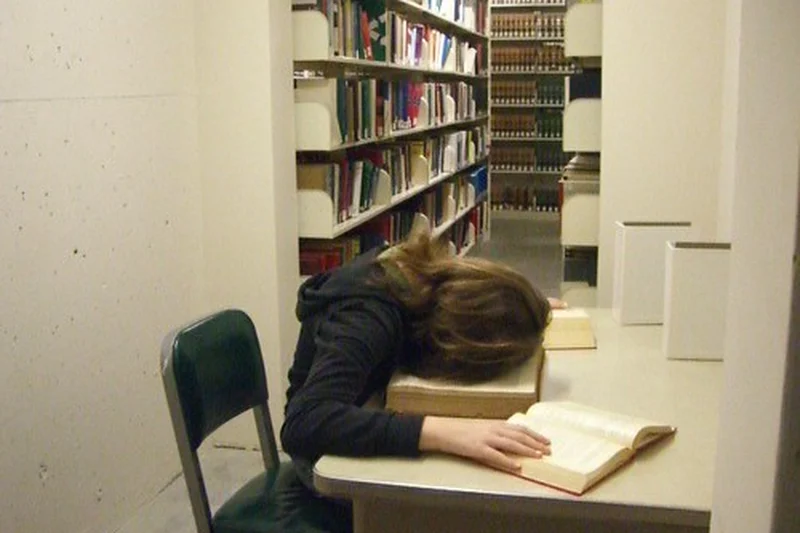 University of Eastern Finland (UEF)