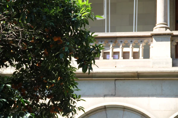 University of Barcelona (UB)