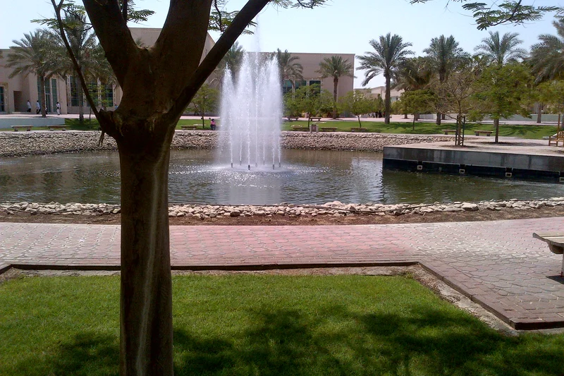 Rochester Institute of Technology Dubai (RIT)